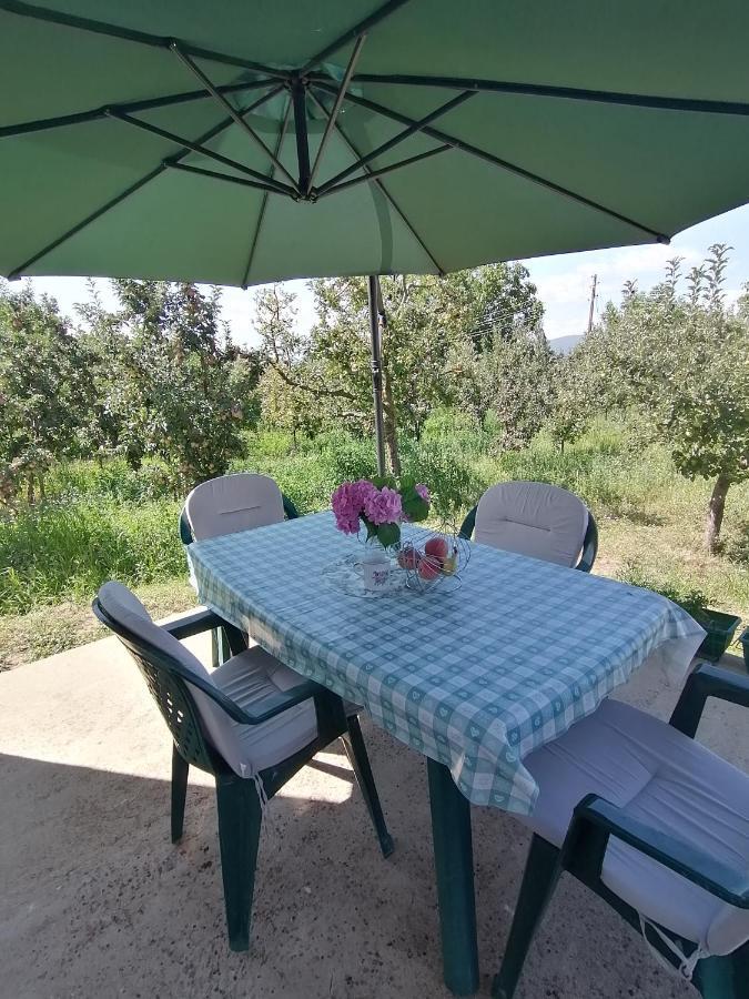 Villa Lila Dolno Dupeni Exterior foto